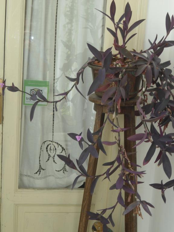 Rosella Bianchi Bed and Breakfast Palermo Kamer foto